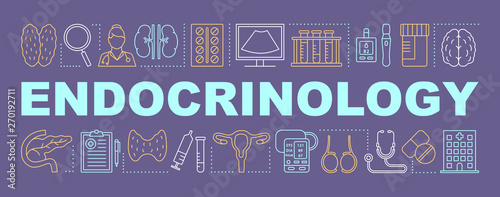 Endocrinology word concepts banner