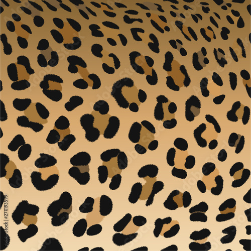 leopard pattern print, vector illustration, background, fluffy