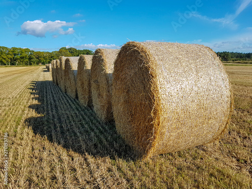 Row of hay bales