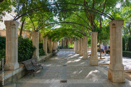 Landscape in the Gardens of Hort del Rei at the Cathedral of Palma de Majorca, Mallorca Island, Spain  photo