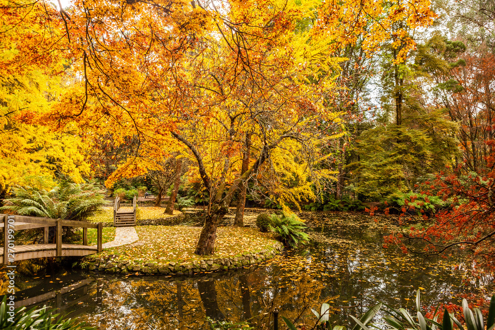Beautiful lake with wooden bridges in Autumn in Australia Beautiful lake with wooden bridges in Autumn in Australia