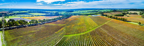 Scenic aerial panorama of large vineyard in autumn. Mornington Peninsula, Melbourne, Australia photo