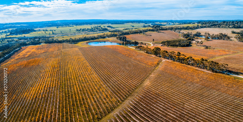 Scenic wide panorama of large winery in autumn near Red Hill, Victoria, Australia