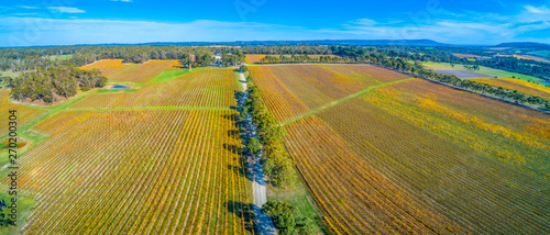 Gravel road passing through scenic winery in autumn. Mornington Peninsula, Australia photo