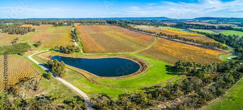 Scenic large vineyard and small lake - aerial panorama photo