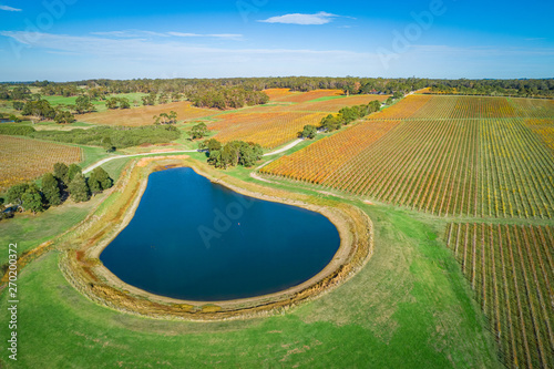 Aerial view of beautiful golden vineyard and pond in autumn. Mornington Peninsula, Victoria, Australia photo