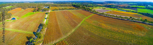Beautiful vineyard in autumn in Melbourne, Australia - wide aerial panorama photo