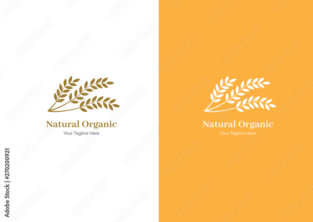 Wheat logo or Set collection wheat paddy logo