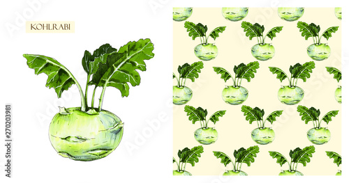Green kohlrabi isolated on white background. Watercolor seamless pattern of vegetables  raw kohlrabi. Hand-drawn healthy food.