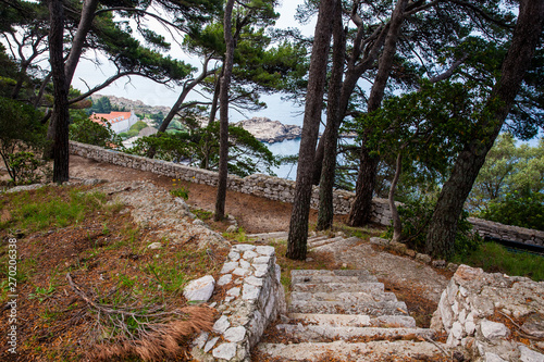 Fototapeta Naklejka Na Ścianę i Meble -  Beautiful paths of the Gradac Park in Dubrovnik