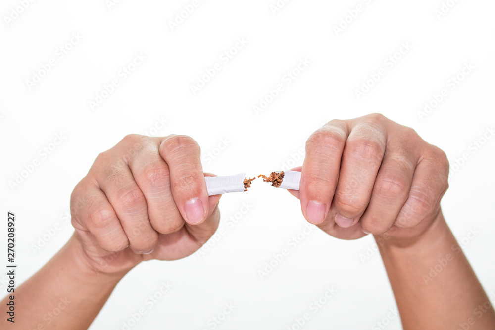 World No Tobacco Day; Woman hand destroying cigarettes isolated on white background and space for text. World No Tobacco Day; Woman hand destroying cigarettes isolated on white background and space for text.