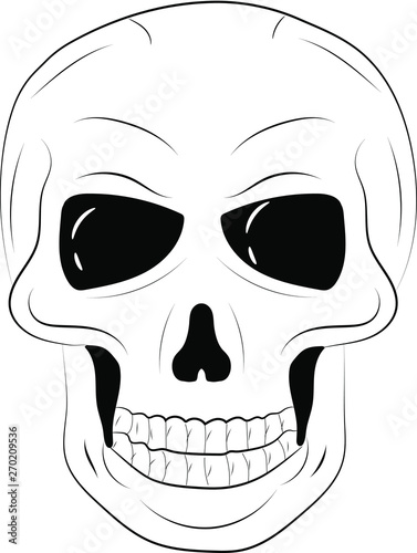 Outline transparent vector skull in black