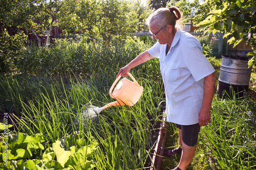 An elderly woman of 70 years old is watering a garden with a watering can. Watering can in the hands of an elderly gray-haired lady. Small household in the Russian village.