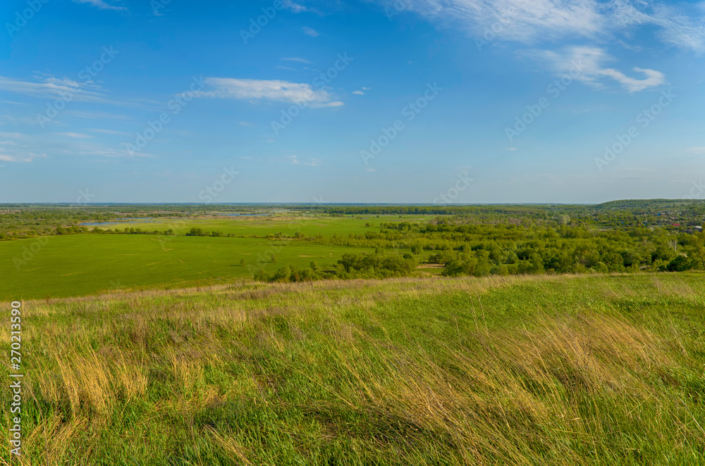 River, trees and the field on a sunny summer day. Voroninsky National Park, Tambov Oblast, Russia.