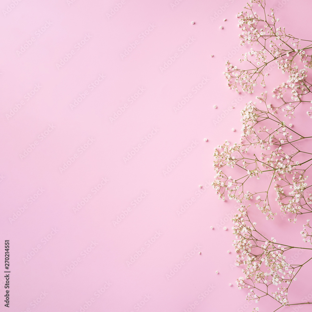 Small white gypsophila flowers on pastel pink background. Women's Day, Mother's Day, Valentine's Day, Wedding concept. Flat lay. Top view. Copy space