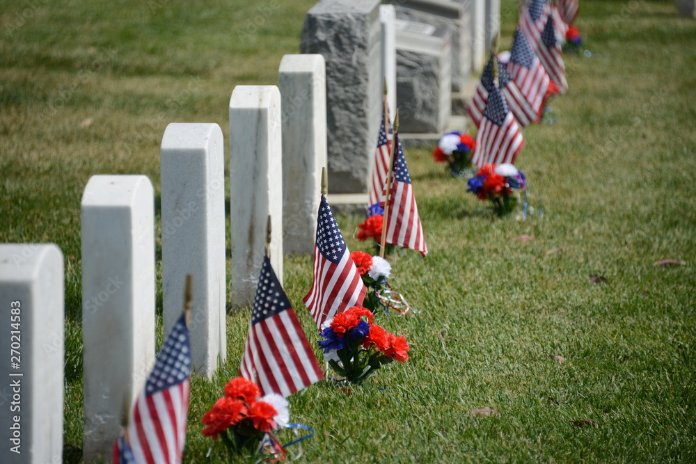 Flags mark graves on Memorial Day Stock Photo | Adobe Stock