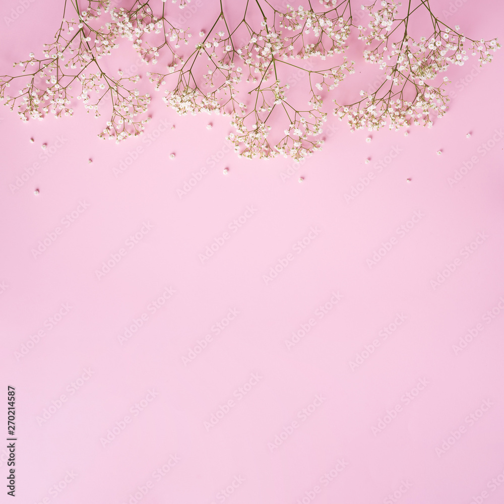 Small white gypsophila flowers on pastel pink background. Women's Day, Mother's Day, Valentine's Day, Wedding concept. Flat lay. Top view. Copy space Small white gypsophila flowers on pastel pink background. Women's Day, Mother's Day, Valentine's Day, Wedding concept. Flat lay. Top view. Copy space