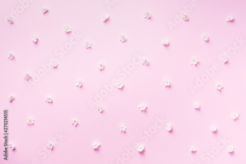 Daisy pattern. Top view. Flat lay. Floral pattern of white chamomile flowers on pink background. Summer concept