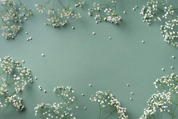 Small white gypsophila flowers on pastel green background. Women's Day, Mother's Day, Valentine's Day, Wedding concept. Flat lay. Top view. Copy space