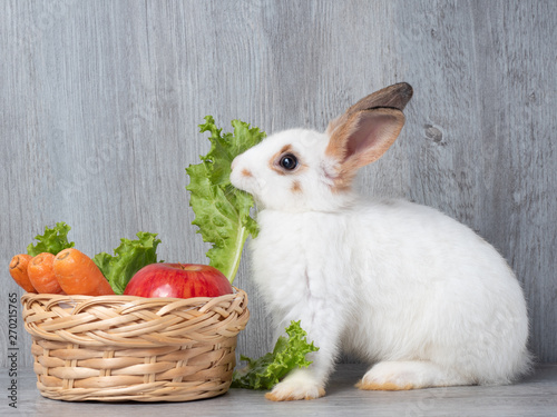 White cute rabbit  eating green lettuce carrot and apple in the wooden basket and wooden gray background. Rabbits like to eat vegetables but should not give too much.
