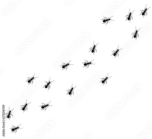 ant column black silhouette top view. Icon or insect symbol.