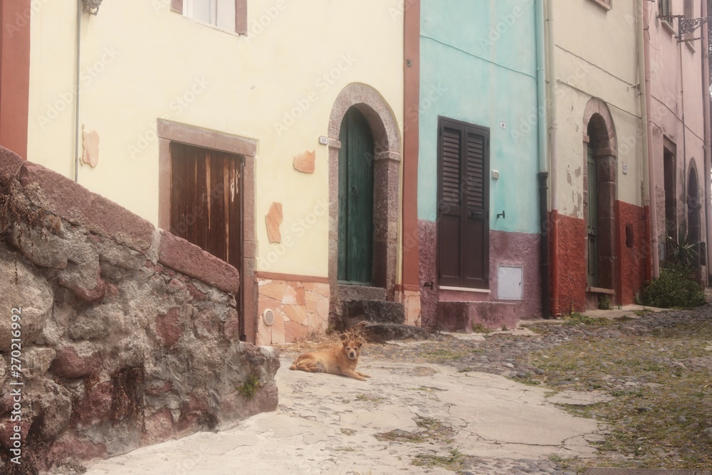 Fototapeta premium Bosa