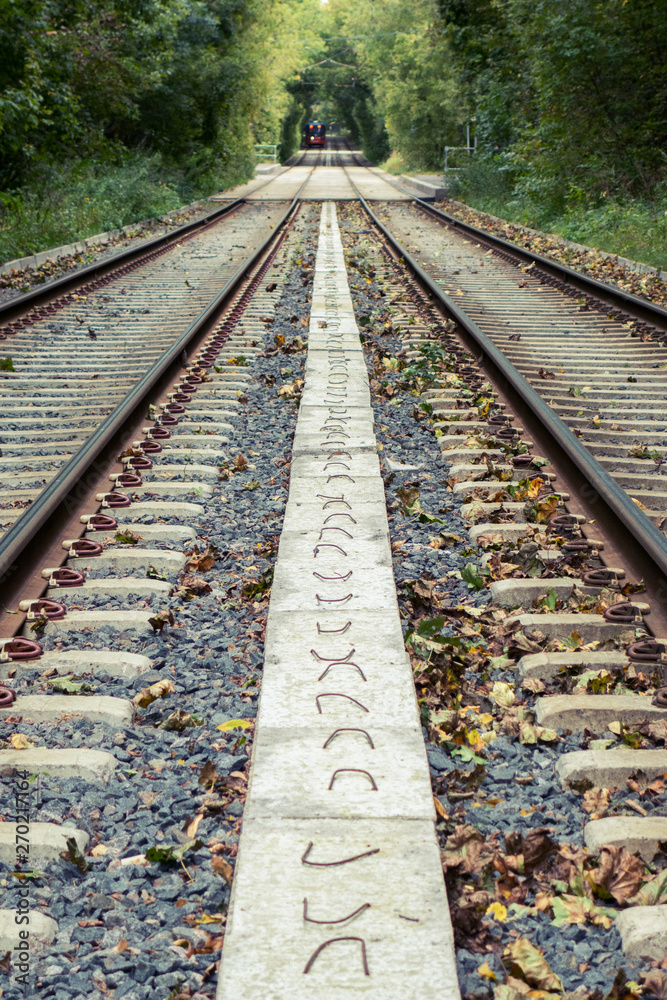 Fototapeta premium railway in forest