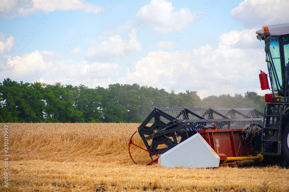 Fototapeta premium Krasnodar Territory, RUSSIA - July 08 2017 : Harvester machine to harvest wheat field working. Combine harvester agriculture machine harvesting golden ripe wheat field. Agriculture