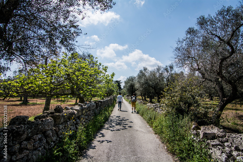 two people walking in salento' s countryside, Puglia, Italy two people walking in salento' s countryside, Puglia, Italy