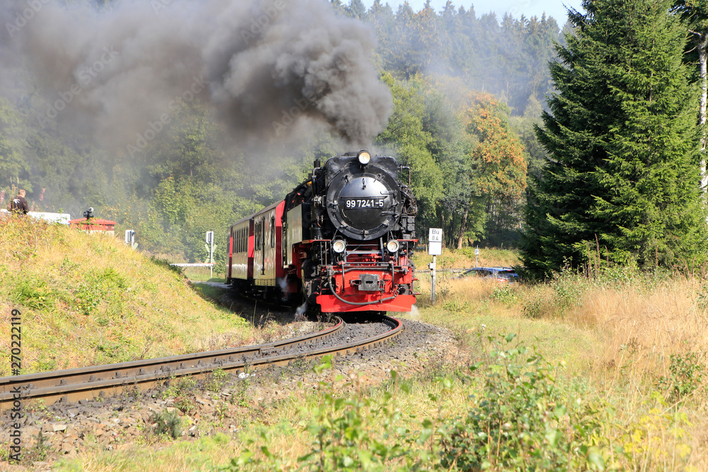 Brocken railroad, Harz Narrow Gauge Railway, Harz, Germany, Europe Brocken railroad, Harz Narrow Gauge Railway, Harz, Germany, Europe