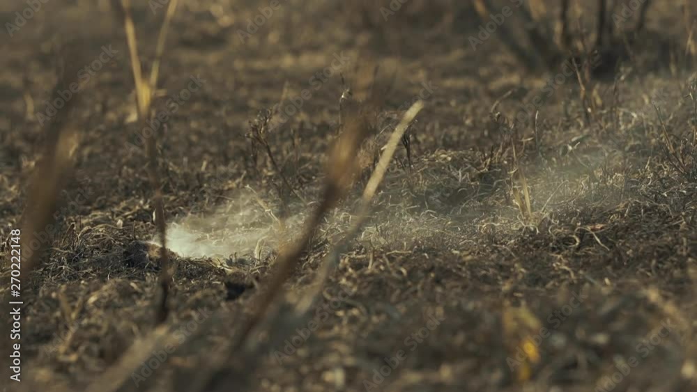 Dry soil burns and smoke rises in Myanmar. Dry soil burns and smoke rises in Myanmar.