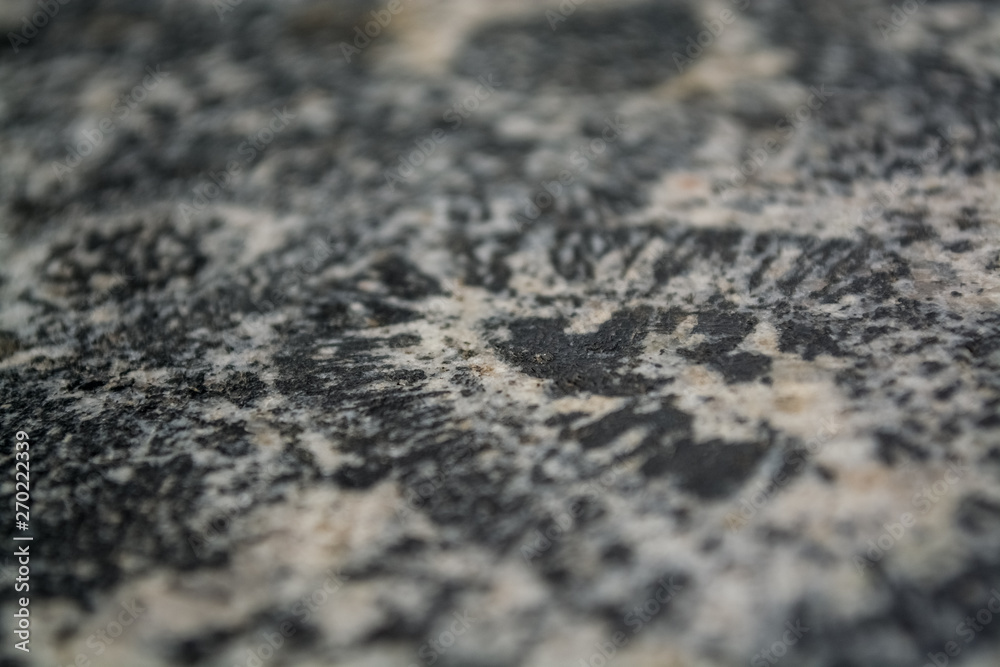 Background or texture from a gray stone with round spots and stains. Natural material. Glossy surface. Background or texture from a gray stone with round spots and stains. Natural material. Glossy surface.