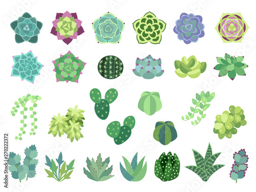 多肉植物のイラスト寄せ植え用パーツセット