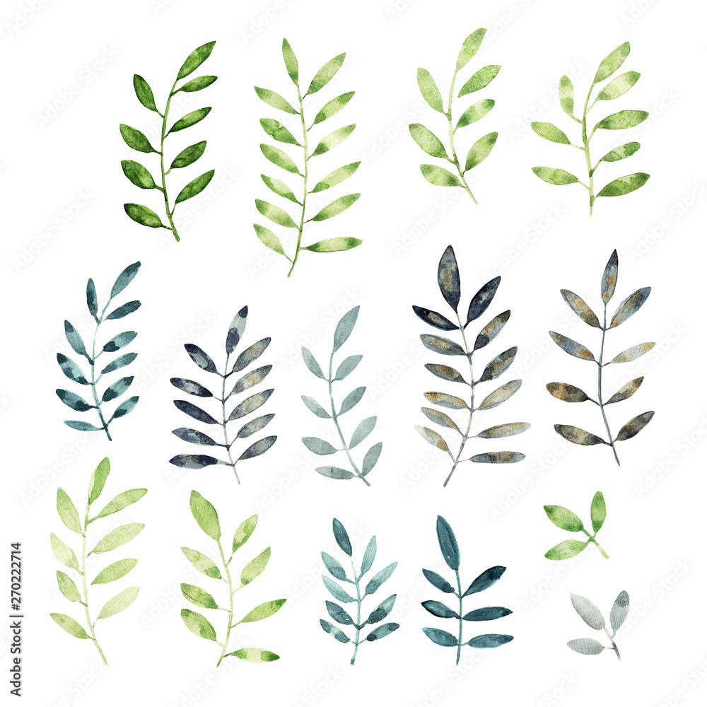 Fototapeta premium watercolor floral set