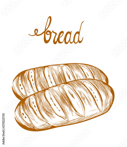 Bread Vector lineart. Vintage homemade bakery menu decors