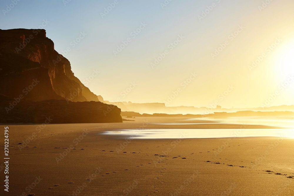 sunny landscape on the beach sunny landscape on the beach