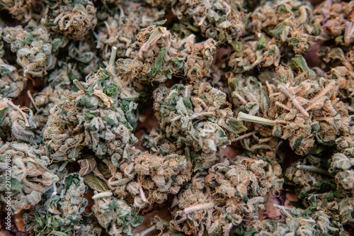 marijuana bud texture close-up.