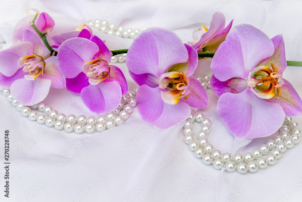 The branch of purple orchids on white fabric background The branch of purple orchids on white fabric background