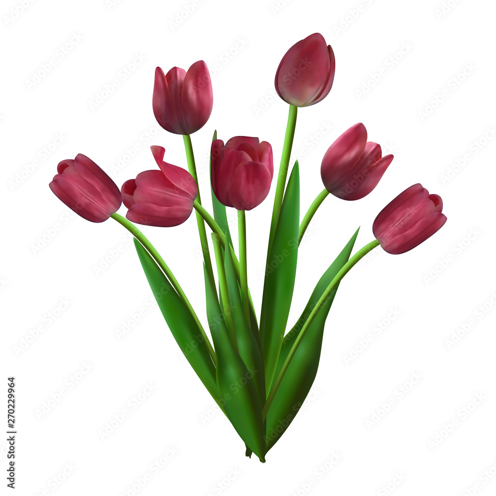 vector tulips, realistic flowers, a bouquet of flowers