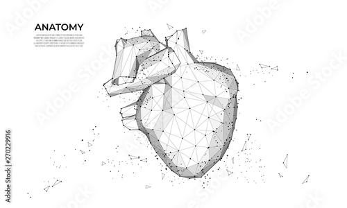 Cars vector wireframe concept. Sport car. Futuristic Smart Car. Vehicle wireframe concept. Polygon vector design.  Poly art, mesh art
