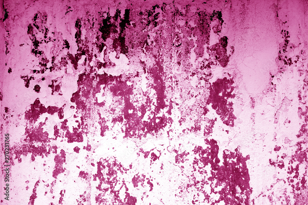 Fototapeta premium Сraked weathered cement wall texture in pink tone.