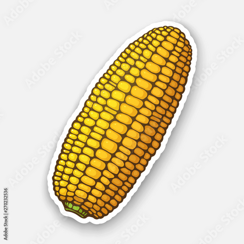 Vector illustration. Corn cob without leaves. Healthy vegetarian food. Ingredient for salad. Decoration for signboards, menus. Sticker with contour. Isolated on white background