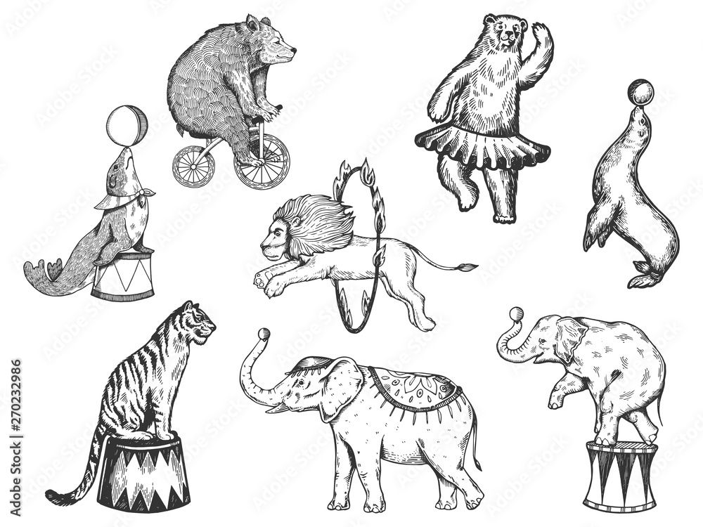 Retro circus animals performance set r sketch vector illustration. Old hand  drawn engraving imitation. Human and animals vintage drawings Stock Vector  | Adobe Stock