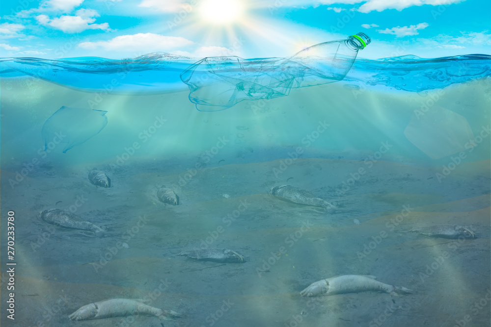 Plastic water bottles pollution in ocean Environment concept . Dead fish on the ocean floor