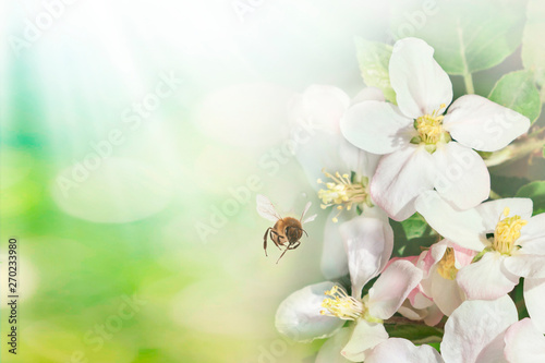 spring flowers banner - bunch of white flowers on green bokeh background