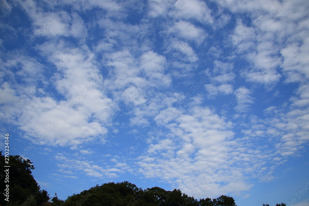 Obraz premium 夏空