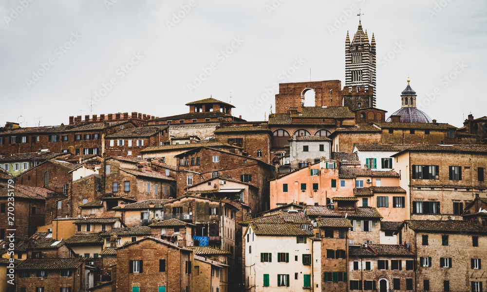View of Siena on a hill with his Duomo