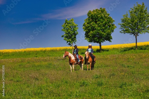 mit dem pferd auf einer blumenwiese im erzgebirge © bajo57