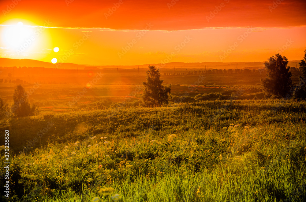 Obraz premium Warm summer evening. Juicy green grass. Beautiful sunset