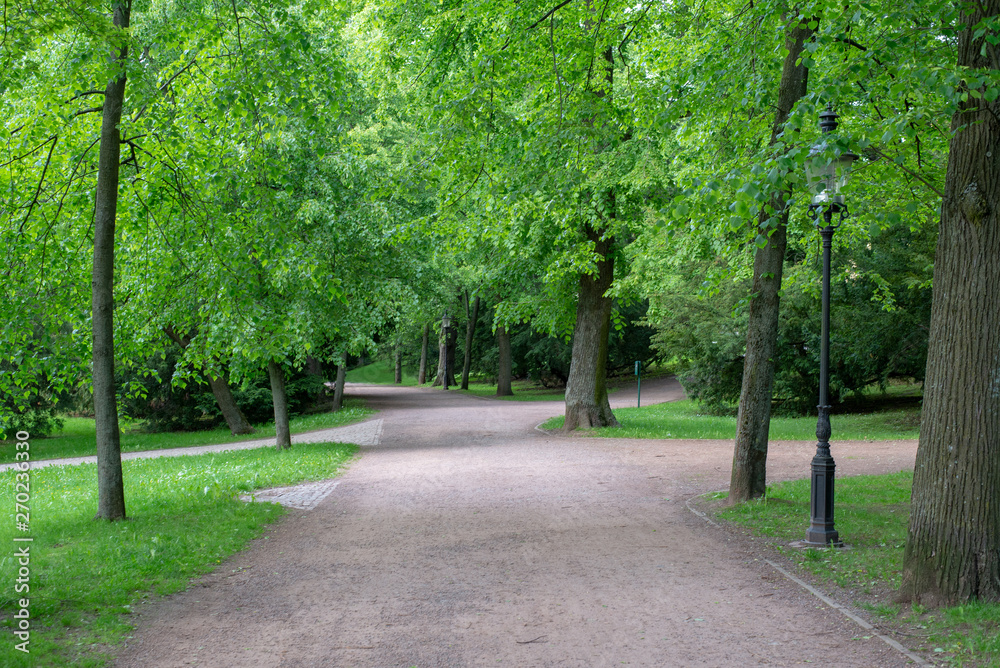 Gehweg im Park